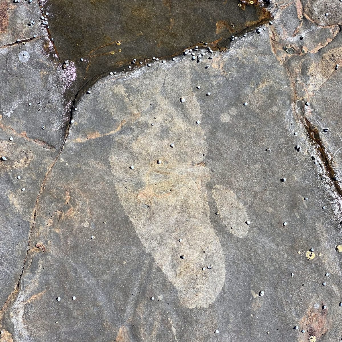 UFO: Unidentified Footprint Outlines